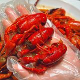 魔都美食探店｜你无法拒绝的美味川菜