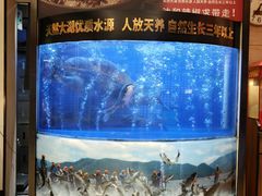 -潇湘码头·鲜湘菜(清河店)