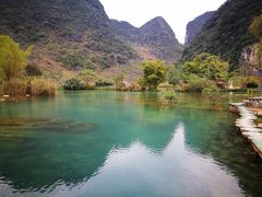 -靖西鹅泉风景区