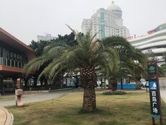 -爱情邮局