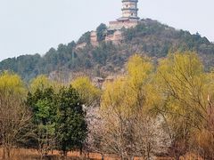 -北坞公园