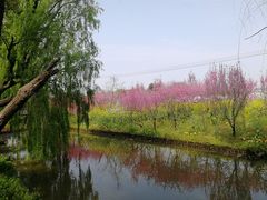 -南汇桃花村