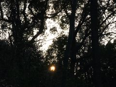 -九曜山