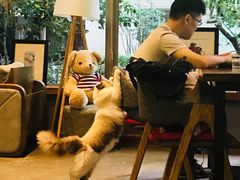 -咖法森林·咖啡  酒吧(天河店)
