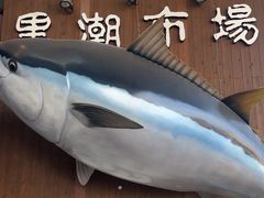 -黑潮市场