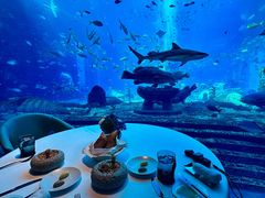 -OSSIANO奥西亚诺海底餐厅