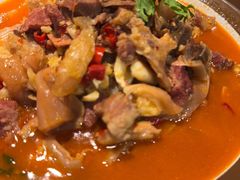 -洞庭家宴·头牌甲鱼(广渠门店)