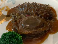 鲍汁扣八头吉品鲍-新兴家喻酒家·羊城名宴(昌岗店)