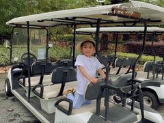 -帐篷客·溪龙茶谷度假酒店