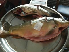 -咱屯子锅台鱼(一汽家园店)