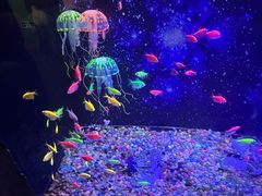 -常州海昌海洋探索馆