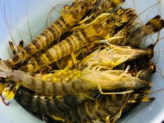 -澜悦港海鲜体验主题餐厅