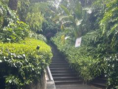-腾冲洞山温泉村