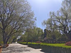 -青城公园