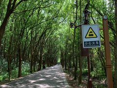 -同里国家湿地公园