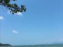 -Coco Tam’s