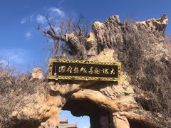 -大槐树寻根祭祖园