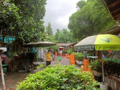 -杨厝六十六农庄农舍(杨厝路店)