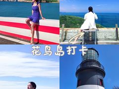 -枸杞岛