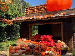 -HERRE·FARM 赫尔露营农场·团建聚会包场