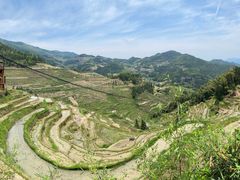 -紫鹊界梯田景区