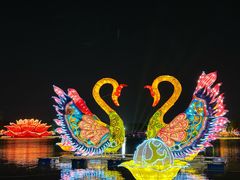 -洛阳市隋唐城遗址植物园