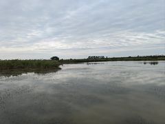 -盐城丹顶鹤湿地生态旅游区