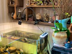 -Rabbit Cafe私房西餐甜点咖啡(栖霞路店)