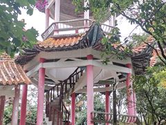 -天鹿湖森林公园