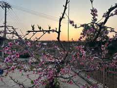 -河口景区