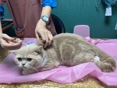 -严国平动物医院(德政总院)