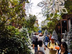 景观位-The Grounds of Alexandria