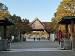 -上海海湾国家森林公园