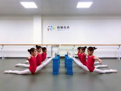 -梧桐花语舞蹈培训中心(潞城校区)