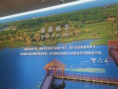 -溱湖国家湿地公园