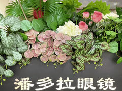 -潘多拉眼镜·蔡司依视路明月(潘家园店)