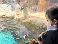 -波塞冬旅游度假区