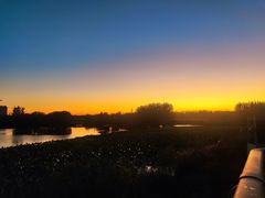 -大兴滨河森林公园