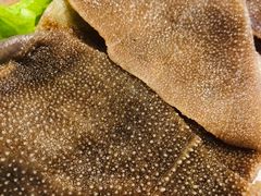 鲜毛肚-小龙坎老火锅(北京三里屯店)