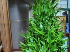 -静沐人生养生馆(佳宁娜分店)