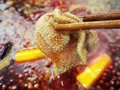 -星鸿社重庆老火锅