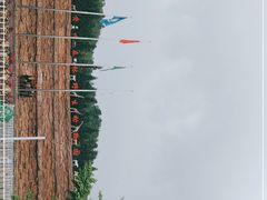 -贵州森林野生动物园