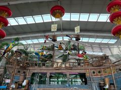 -南宫五洲植物乐园