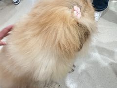 -共舞时光猫咖·狗咖(新街口店)