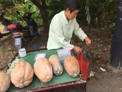 -司徒庙