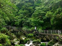-龙苍沟森林公园