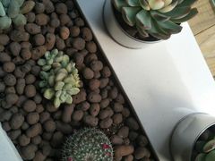 -LuluCake·路鹿蛋糕