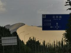 -老钟家烤羊排·敦伊阁清真餐厅胡羊焖饼