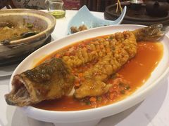 -阿锋鲍鱼酒家美食汇(华安店)