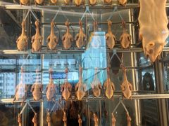 -谭厨中山传家菜.乳鸽.脆鲩鱼(华强北中航城店)